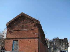 img_0008