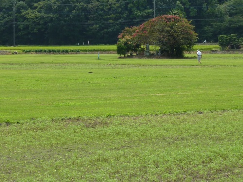 ふれあいむら