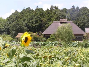 気になる蕎麦屋 気になる蕎麦屋
