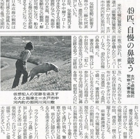 11月7日茨城新聞