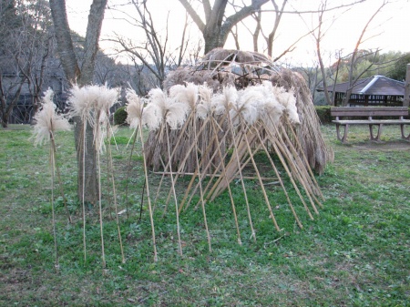 どこかでみたような光景