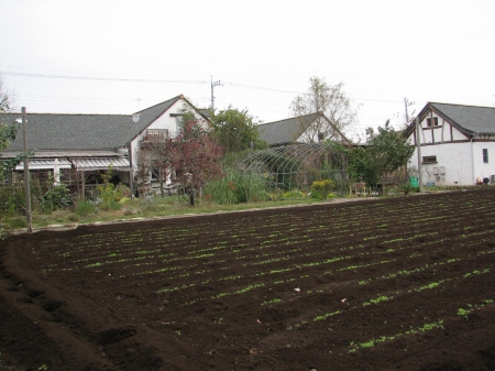 地産地消はたまた自産自消