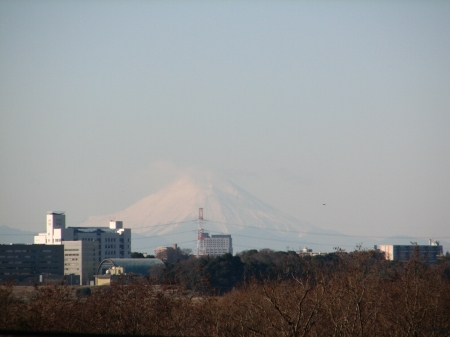 富士山