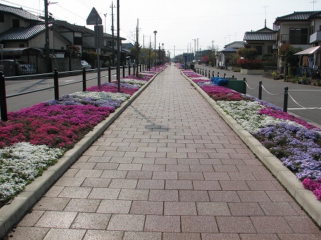 藤代遊歩道