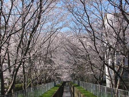 トンネル