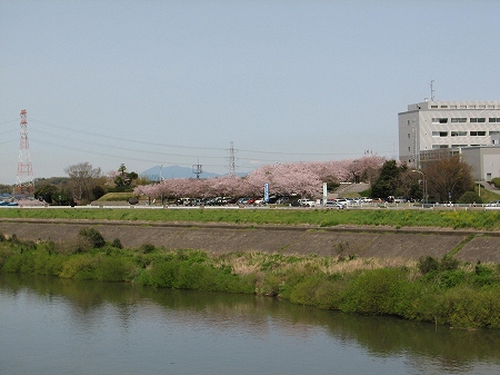 利根町役場周辺