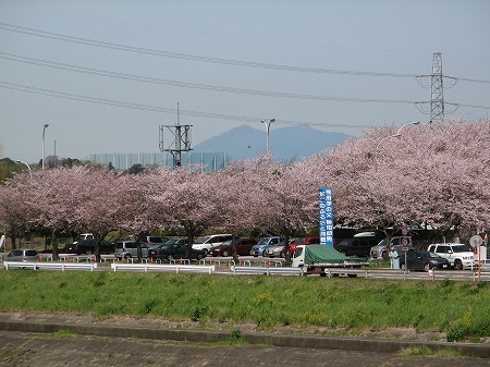 利根町役場周辺