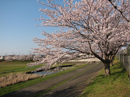 みずき野