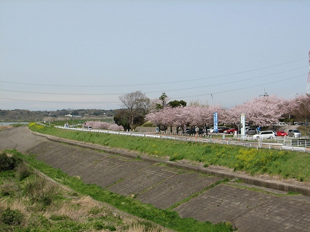 利根町役場周辺