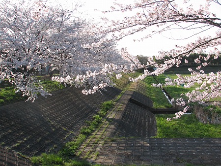 みずき野