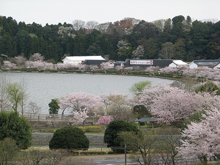 千波湖