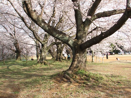 影で素敵