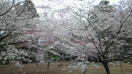 岡神社