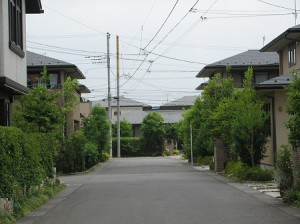IMG_0010