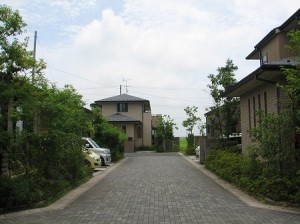 IMG_0011