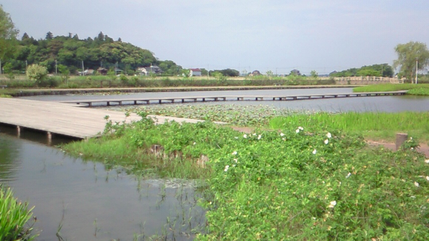 親水公園