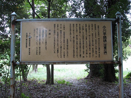 ogawa-usen (2)