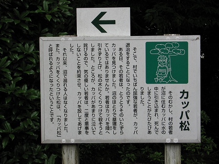 ogawa-usen (3)