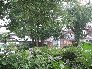 雨宿り