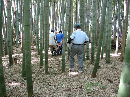 竹炭同好会