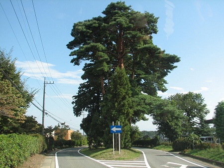 大事にされてる