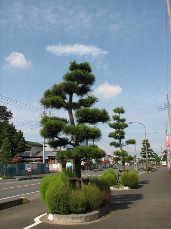 ふるさと清掃運動会