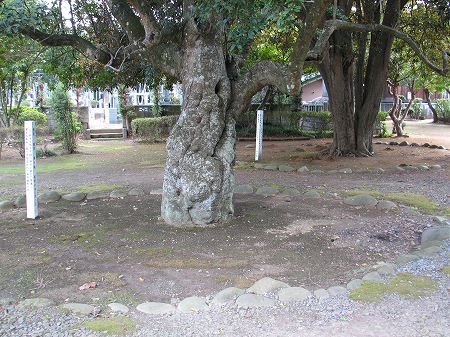 龍禅寺