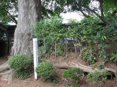 龍禅寺