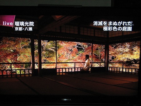 京都瑠璃光院