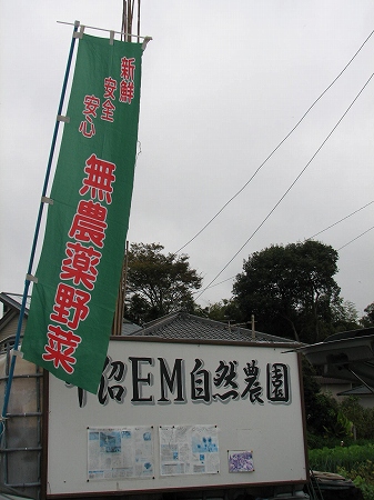 平沼EM自然農園芋煮会