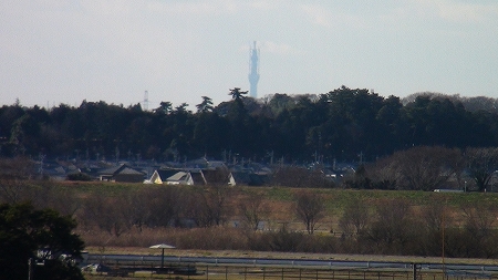 早尾台から見たスカイツリー