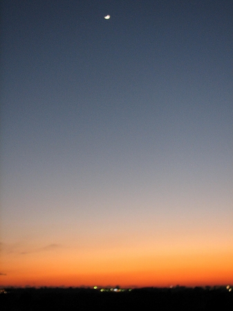 富士と東京スカイツリー