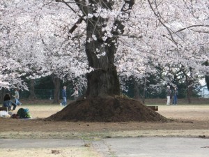 愛国学園附属高等学校 愛国学園附属高等学校
