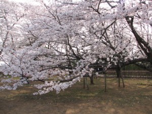 愛国学園附属高等学校 愛国学園附属高等学校