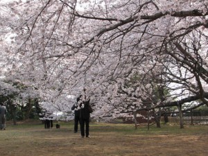 愛国学園附属高等学校 愛国学園附属高等学校