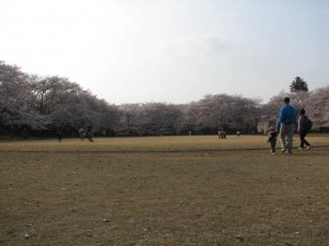 愛国学園附属高等学校 愛国学園附属高等学校