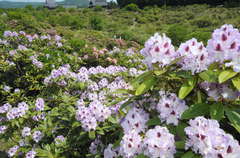 茨城新聞20110518