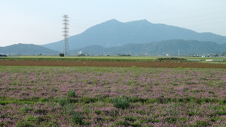 つくば市北太田