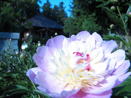 東漸寺