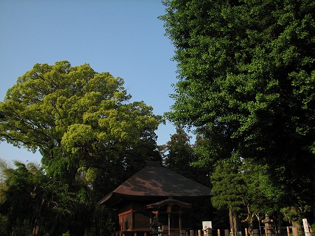 東漸寺