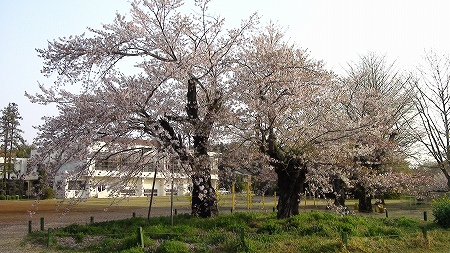 本埜第一小学校