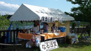 鯉のぼりプロジェクトin岡堰 みんな来い♥恋♡鯉三昧