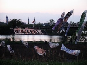 鯉のぼりプロジェクトin岡堰 みんな来い♥恋♡鯉三昧
