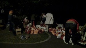 鯉のぼりプロジェクトin岡堰 みんな来い♥恋♡鯉三昧
