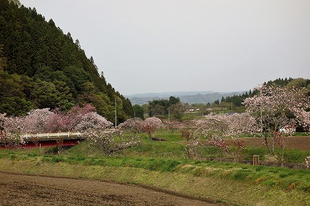 相川3