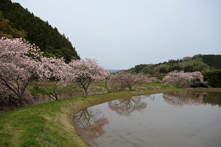 相川