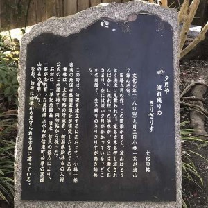 一茶双樹記念館 (11)