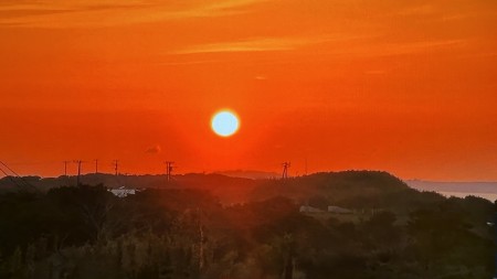 IMG_0489