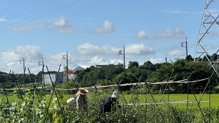 IMG_0947