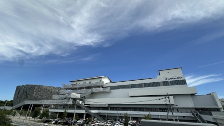 IMG_0960